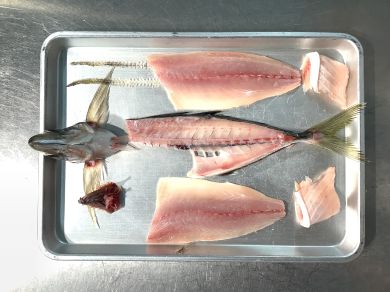 鯵の三枚おろし実技試験